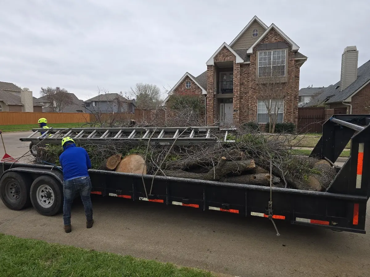 Expert Tree Fertilization with proper safety equipment in Harrah